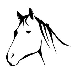 Pferde | Reittherapiezentrum Stadtlohn